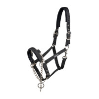 Licol Waldhausen Pro Safety Noir