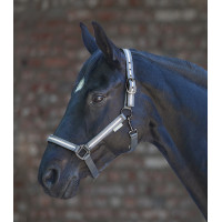 Licol Waldhausen Reflex Stripe