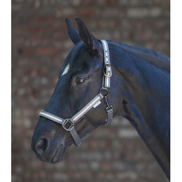 Licol Waldhausen Reflex Stripe Licol Waldhausen Reflex Stripe