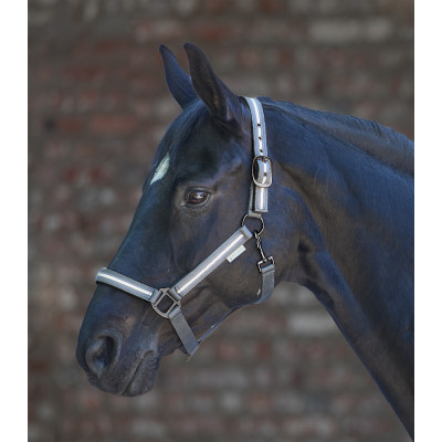 Licol Waldhausen Reflex Stripe