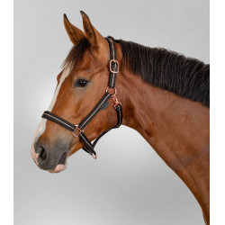 Licol Waldhausen Rosé Noir Licol Waldhausen Rosé Noir