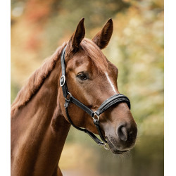 Licol Waldhausen S-Line en cuir Glamour Noir Licol Waldhausen S-Line en cuir Glamour Noir