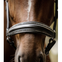 Licol Waldhausen S-Line en cuir Glamour Noir Licol Waldhausen S-Line en cuir Glamour Noir