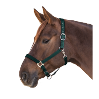 Licol Waldhausen Satin Vert sapin