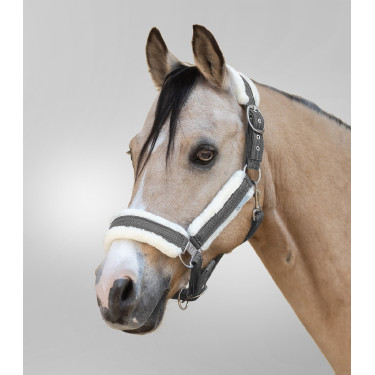 Licol Waldhausen Sparkle Gris