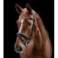 Bridon Clincher Waldhausen X-Line Noir Bridon Clincher Waldhausen X-Line Noir