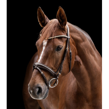 Bridon Clincher Waldhausen X-Line Marron