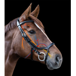 Bridon Relaxation Waldhausen X-Line Noir