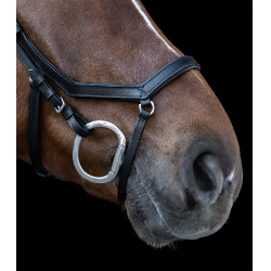 Bridon Relaxation Waldhausen X-Line Noir