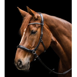 Bridon sans mors Sensation Waldhausen X-Line Noir Bridon sans mors Sensation Waldhausen X-Line Noir