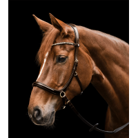 Bridon sans mors Sensation Waldhausen X-Line Marron