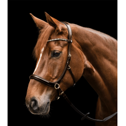 Bridon sans mors Sensation Waldhausen X-Line Marron