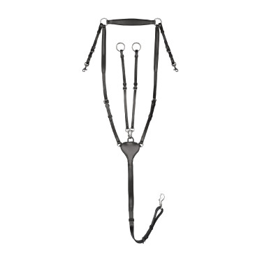 Collier de chasse Waldhausen Professional X-Line Noir Collier de chasse Waldhausen Professional X-Line Noir