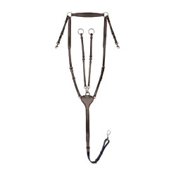 Collier de chasse Waldhausen Professional X-Line Marron