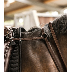 Collier de chasse Waldhausen Professional X-Line Marron