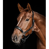 Licol en cuir Waldhausen anatomic S-Line Noir