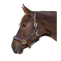 Licol en cuir Waldhausen anatomic S-Line Marron