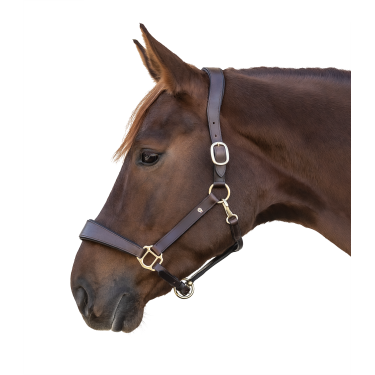 Licol en cuir Waldhausen anatomic S-Line Marron