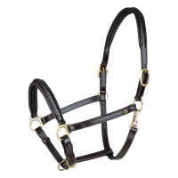 Licol en cuir Waldhausen Classy X-Line Marron / doré