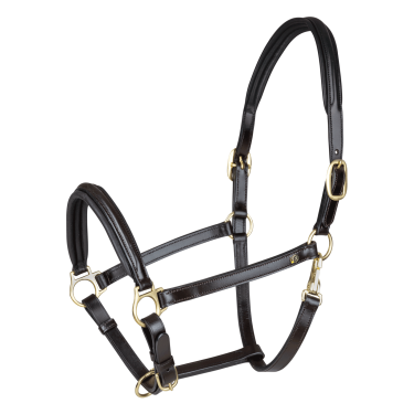 Licol en cuir Waldhausen Classy X-Line Marron / doré