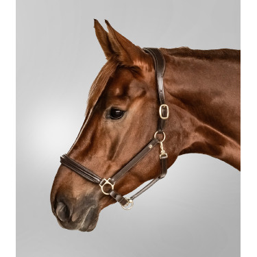 Licol en cuir Waldhausen Classy X-Line Marron / doré