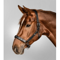 Licol en cuir Waldhausen Crsytal X-Line Noir / gris Licol en cuir Waldhausen Crsytal X-Line Noir / gris