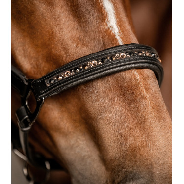 Licol en cuir Waldhausen Crsytal X-Line Licol en cuir Waldhausen Crsytal X-Line