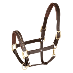 Licol en cuir Waldhausen Crsytal X-Line Marron / or