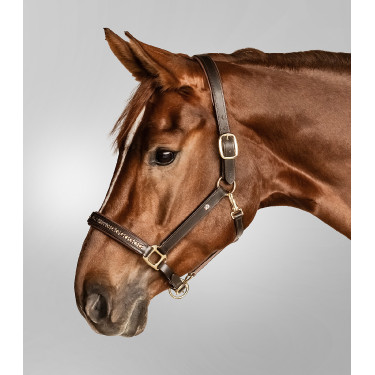 Licol en cuir Waldhausen Crsytal X-Line Marron / or