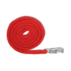Longe de licol Waldhausen Economic mousqueton Anti-Panique Rouge