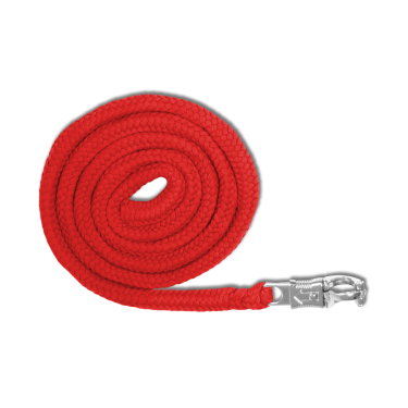Longe de licol Waldhausen Economic mousqueton Anti-Panique Rouge