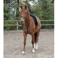 Martingale Waldhausen X-Line Noir Martingale Waldhausen X-Line Noir