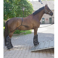 Rampe Waldhausen camion Noir