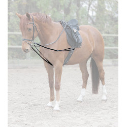 Rênes viennoises Waldhausen X-Line Noir Rênes viennoises Waldhausen X-Line Noir