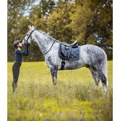 Selle de dressage Waldhausen Premium cuir Noir