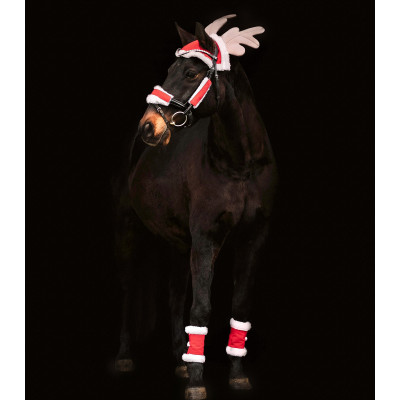 Set de Noël Waldhausen cheval
