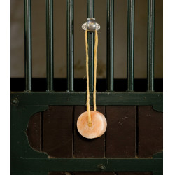 Support spécial Waldhausen métal Gris