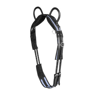 Surfaix Waldhausen 2 poignées Noir / gris