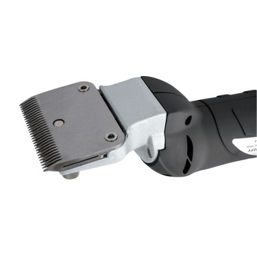 Tondeuse Waldhausen batterie Gris