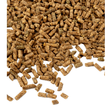Vitamine E Waldhausen Vitamine E Waldhausen