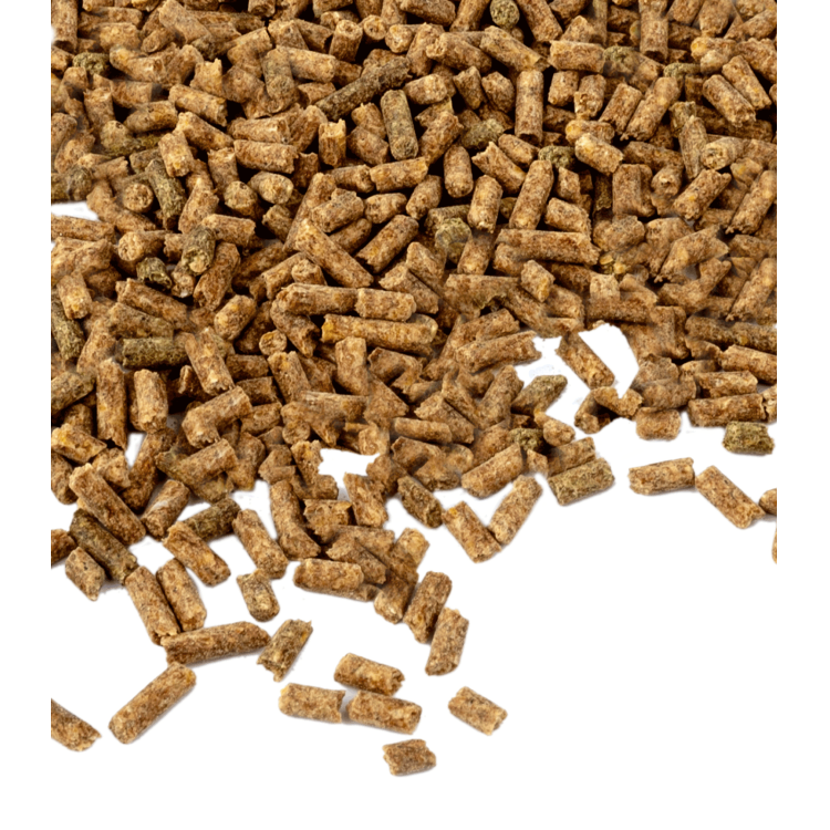 Vitamine E Waldhausen Vitamine E Waldhausen