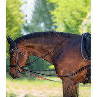 Rênes triangulaire W-train Waldhausen Noir