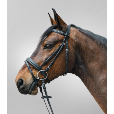 Bridon Star Diamond Bridon Star Diamond