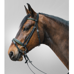 Bridon Star Diamond Vert