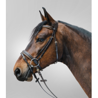 Bridon Star Diamond Marron / or