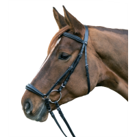 Bridon Star Hannover