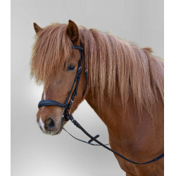 Bridon Star Hannover Noir