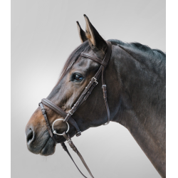 Bridon Star Lifestyle Marron