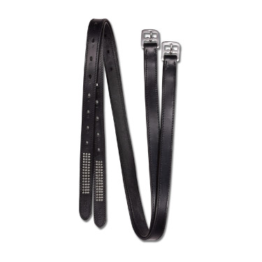 Etrivières Silverstar Star Noir