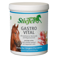 Gastro Vital Stiefel
